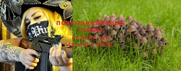 дурь Дмитров