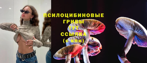 mix Дмитриев