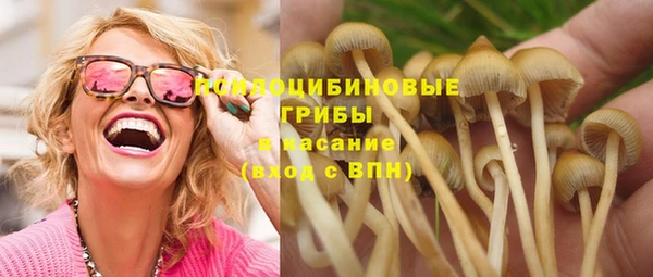 стафф Вяземский