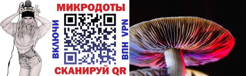 где купить   Ершов  Галлюциногенные грибы GOLDEN TEACHER 