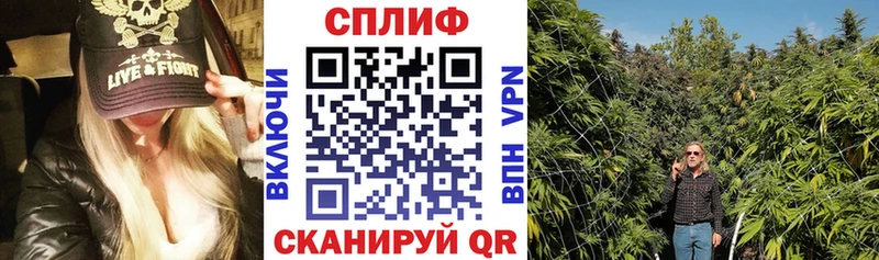 цена наркотик  Ершов  OMG ссылки  Шишки марихуана OG Kush 